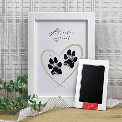 Framed Pet Paw Print Keepsake With Ink Kit