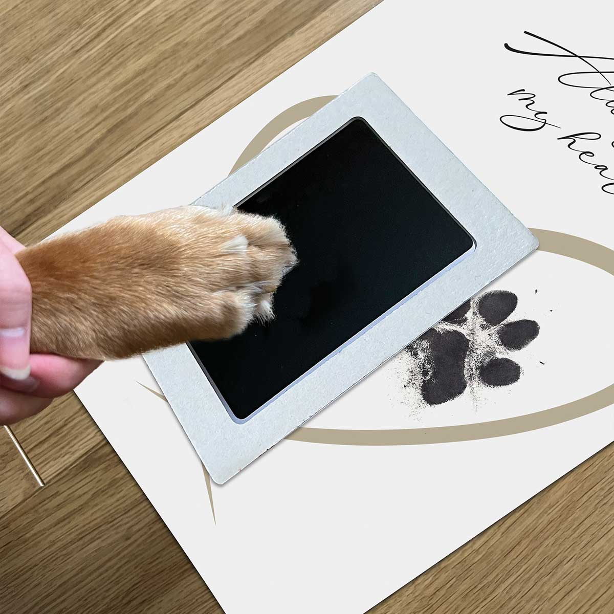 Framed Pet Paw Print Keepsake With Ink Kit