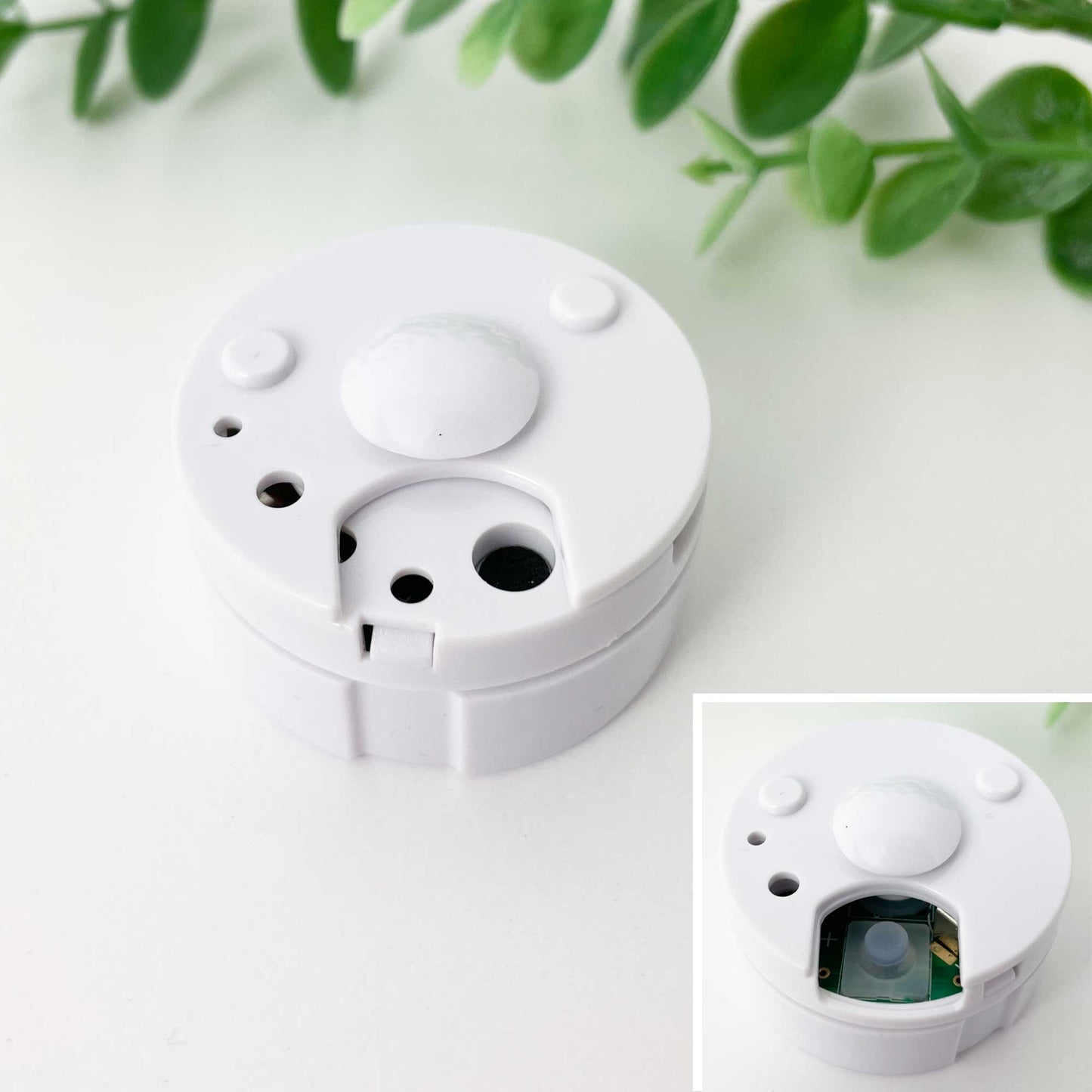 Personalised Record-A-Voice Keepsake Memory Bunny - Cream